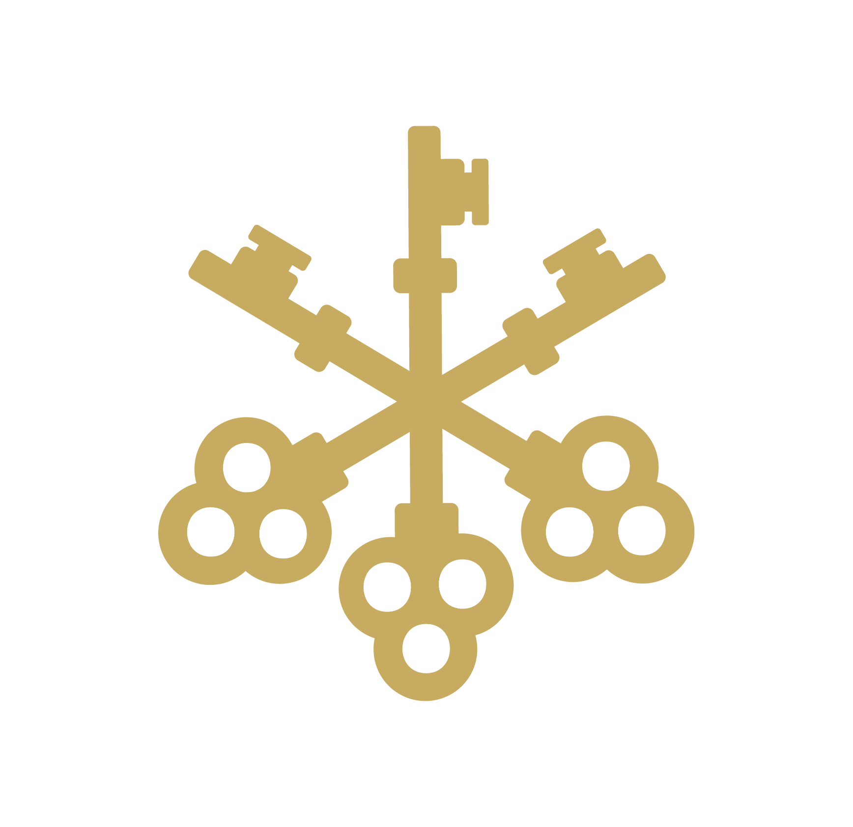 WAHS-FullColor_Symbol