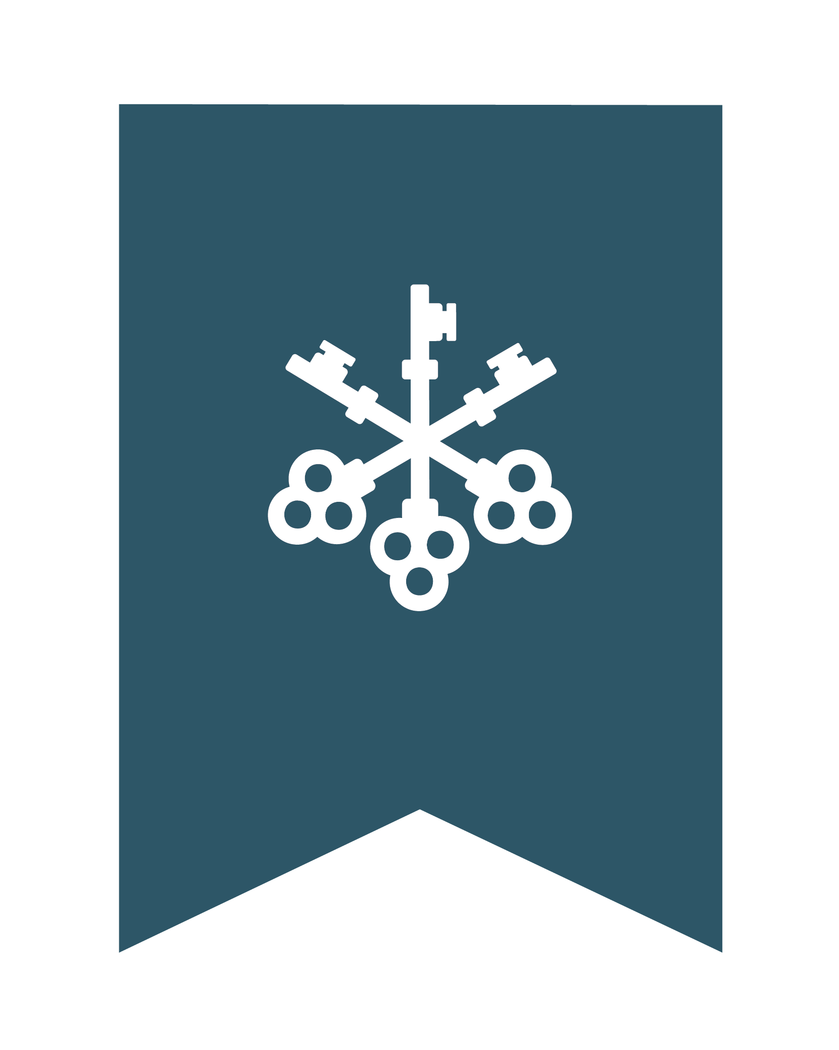 WAHS-RichBlue_Submark-FlagBanner